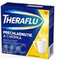 TheraFlu raffreddore e influenza 10 pezzi