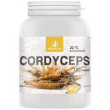 Allnature Cordyceps 100 cápsulas