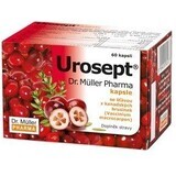 Urosept Tisana urologica 20 x 2 g