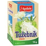 Tè sfuso Apotheke Elm leaf 75 g