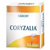 Boiron Coryzalia 40 compresse