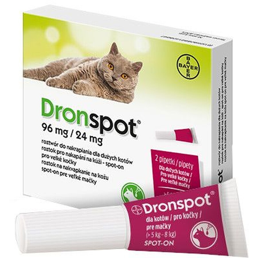 Dronspot 96mg/24 mg Gatti grandi spot-on 2 x 1,12 ml