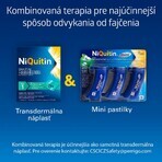 Niquitin Mini 4mg 20 comprimidos