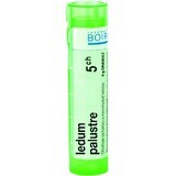 Boiron Ledum Palustre CH5 granulo 4 g