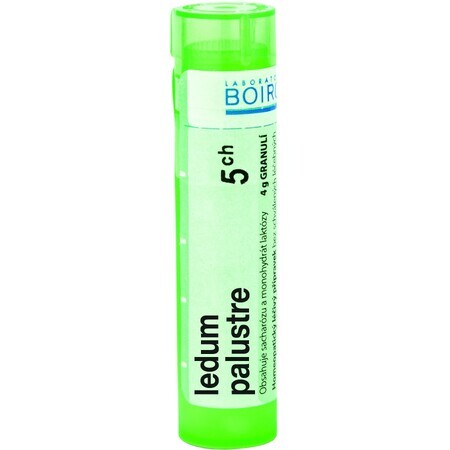 Boiron Ledum Palustre CH5 Granulat 4 g