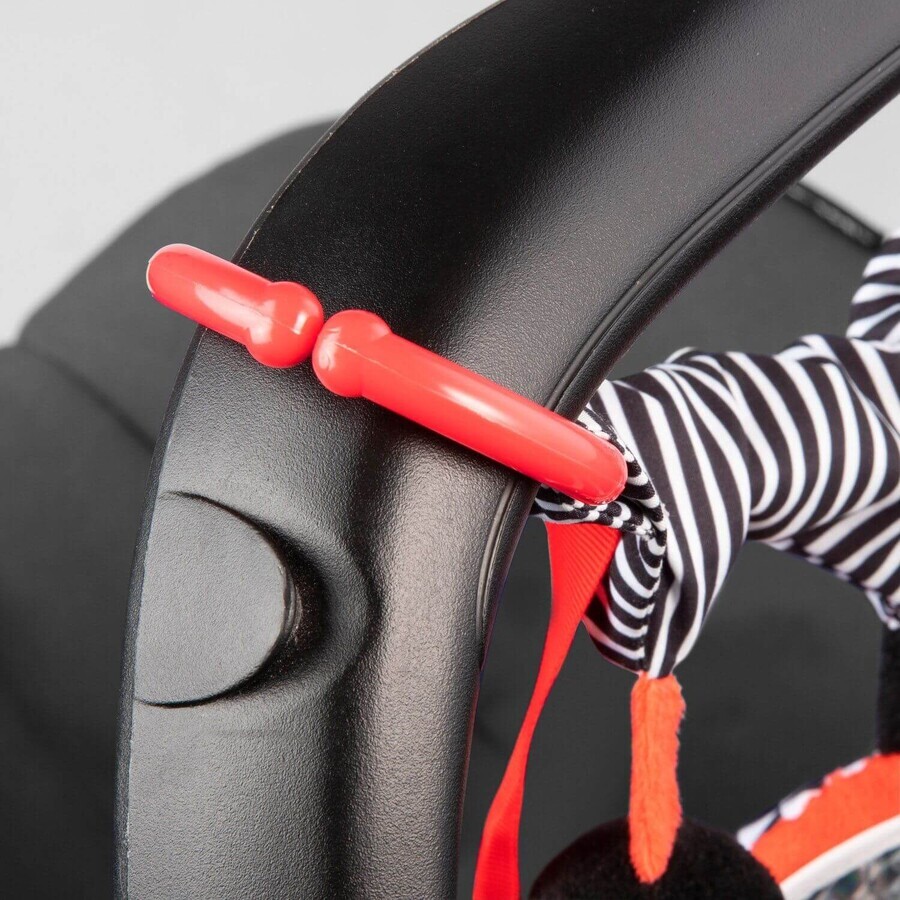 Canpol babies SENSORY Contrast hanging toy for stroller/car seat, 1 x 1 pc