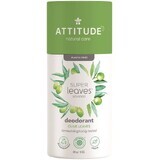 Attitude Super leaves Deodorante solido naturale, foglie di olivo 85 g