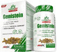 GreenDay ProVegan Genistein 60 capsule