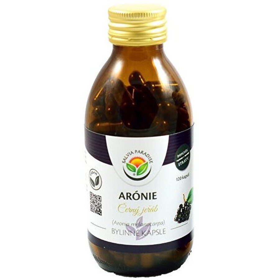 Bio-Salbei Paradies Aronia nigra 120 Kapseln