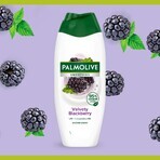 Palmolive Smoothies Bramendouchegel 500 ml