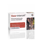 Vaso-Intercell Pycnogenol 75% 60 capsule, Intercell