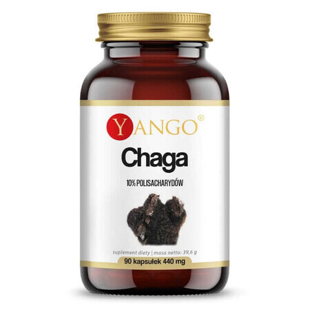 Chaga extract 10% polizaharide (90 capsule) YANGO