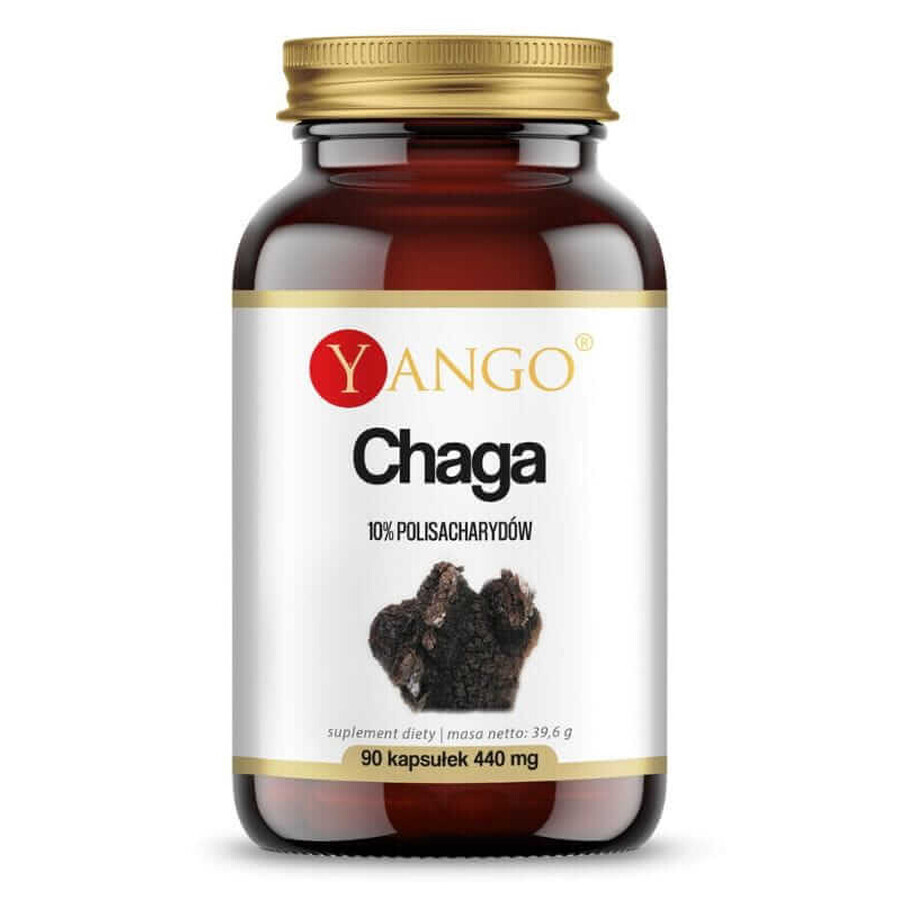 Chaga extract 10% polizaharide (90 capsule) YANGO