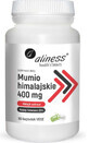 Himalaya mumie 400 mg 90 capsule vegeta Aliness