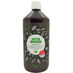 Vita Biosa - Erbe e colture batteriche vive 1000 ml - Ananda