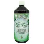 Vita Biosa - Erbe e colture batteriche vive 1000 ml - Ananda