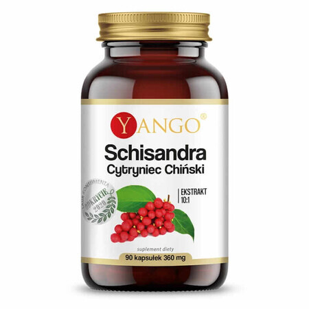 Schisandra - extract 10:1 - 90 capsules YANGO