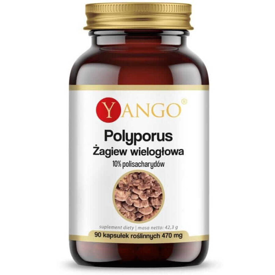 Polyporus Polygonum 90 capsule Yango