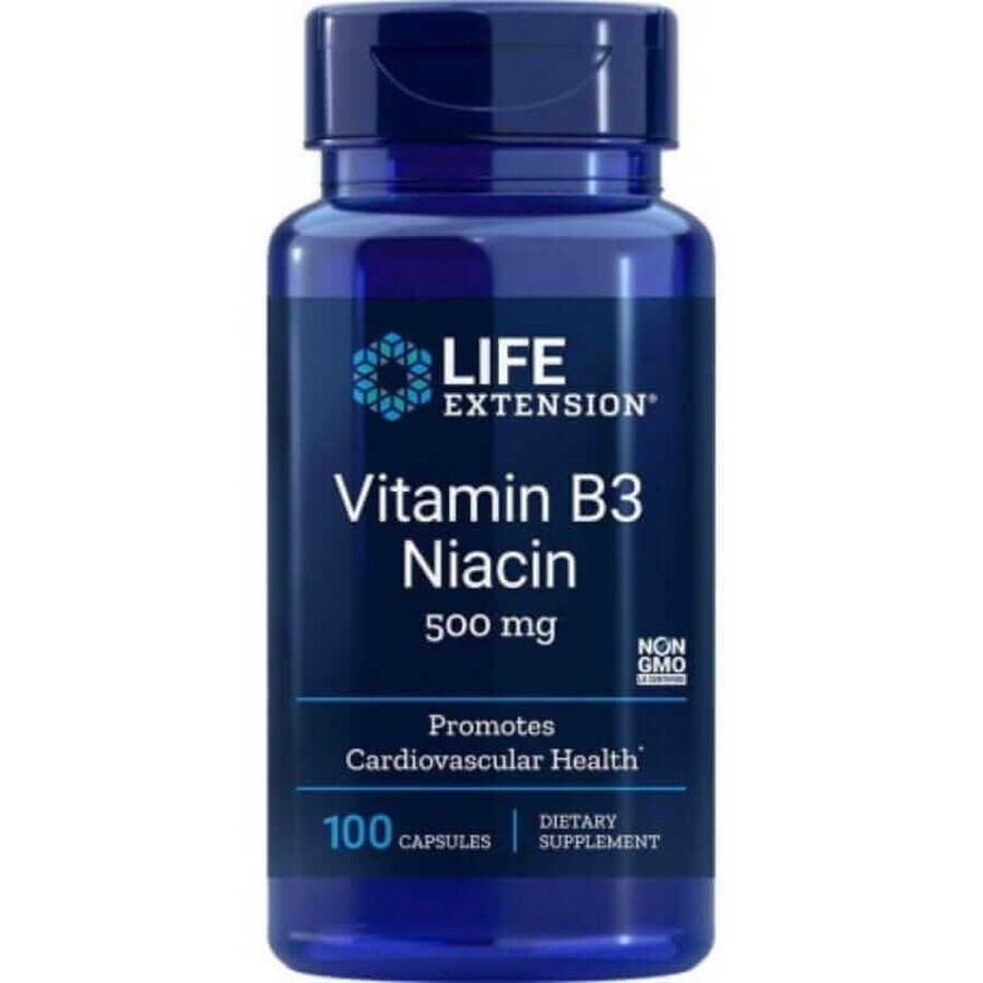 Vitamina B3 Niacin 500mg (100 capsule) Niacin Life Extension