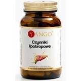 Fattori lipotropi 90 capsule Yango