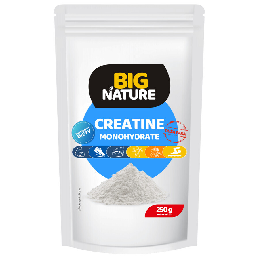 Creatine monohydrate 250 g Big Nature