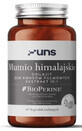 Himalaya mummia 60 capsule UNS