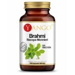 Brahmi (Bacopa Monnieri) estratto al 50% di bacoside 100 capsule YANGO