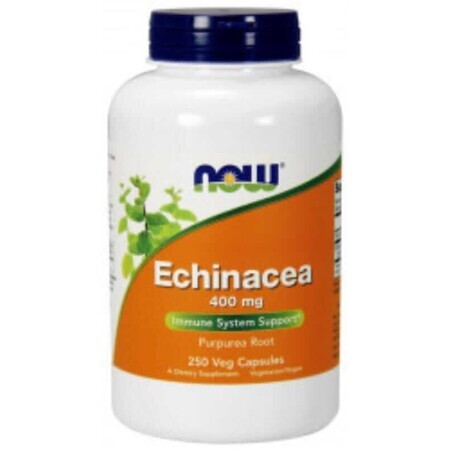 NOW Foods Echinacea (Echinacea) 400mg - 250 capsule