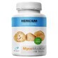 Hericium (fiore di conifera) 30% polisaccaridi 90 capsule MycoMedica