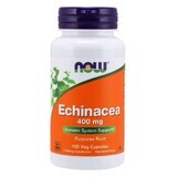 NOW Foods Echinacea (Echinacea) 400mg - 100 capsule