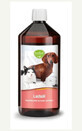 Olio di salmone atlantico per cani e gatti 1000 ml Tierlieb Sanct Bernhard