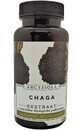 Chaga 50g Archangelis Roxanthus e amici