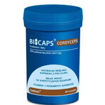 Bicaps Cordyceps 60 capsule - Formeds