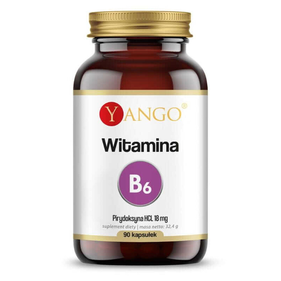 Vitamina B6 (piridossina HCL) 90 capsule Yango