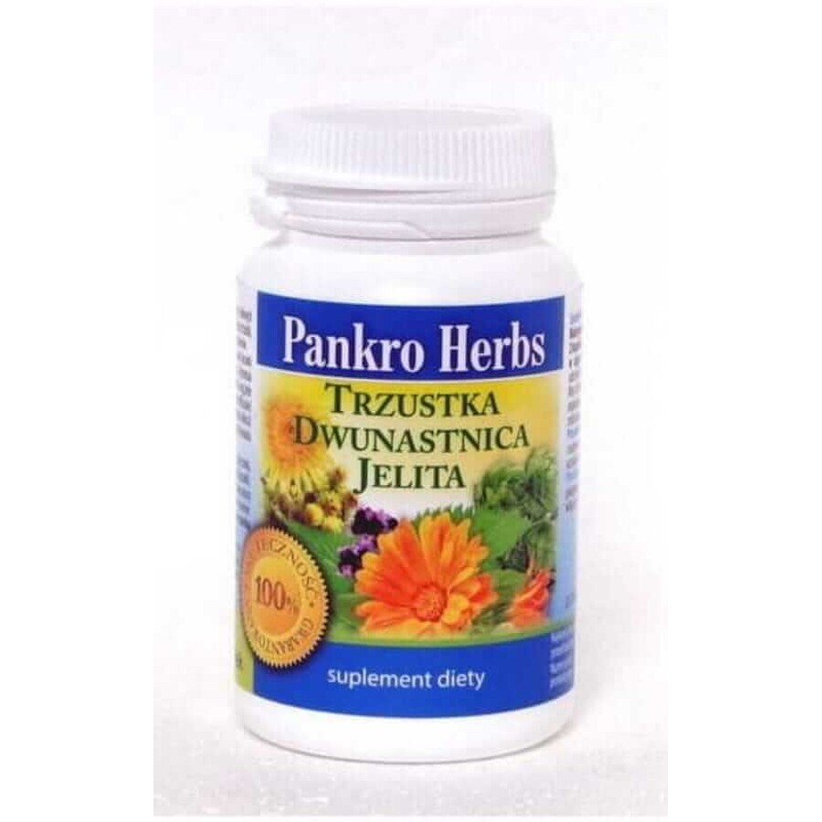 Erbe Pankro - pancreas, duodeno, intestino 60 capsule Erbe Inwent