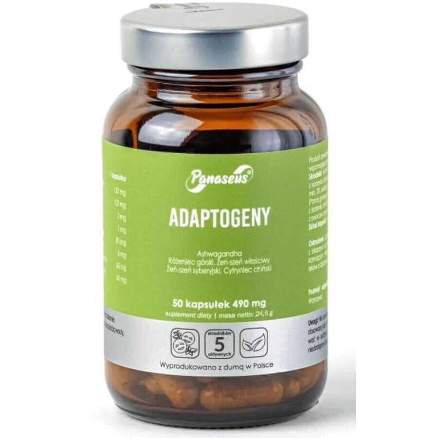 Adaptogens 50 capsules Panaseus