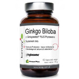 Ginkgo Biloba cu Ginkgoselect Phytosome 60 capsule, Kenay