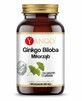 Estratto di ginkgo biloba 24% (100 mg 90 capsule) Yango