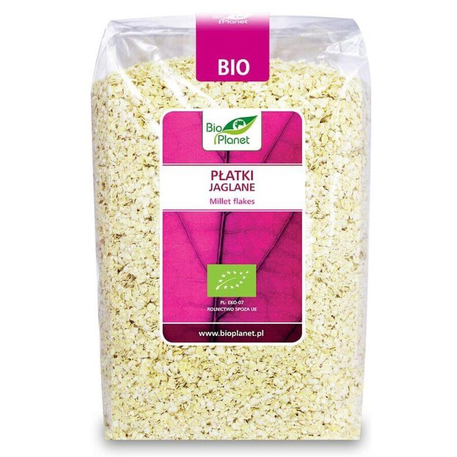 Fulgi de hrișcă BIO 600 g BIO PLANET