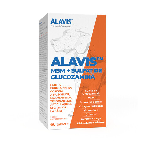 MSM + Glucosamina solfato per cani, 60 compresse, Alavis