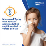 Muconasal spray, 1,18 mg/ml, 2 x 10 ml, Sanofi