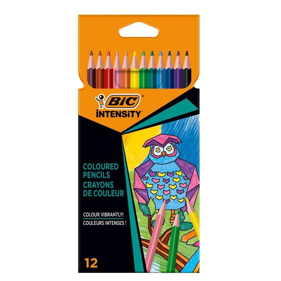 Matite colorate Intensity, 12 pezzi, BIC