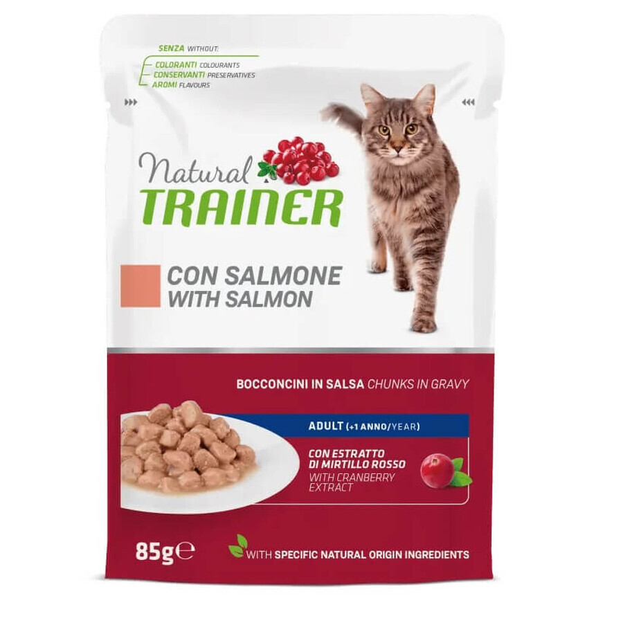 Wet cat food in sachet with salmon for adult cats, 85 g, Natural Trainer