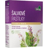 NaturProdukt Onion Pastilles 1×20 pcs, nutritional supplement