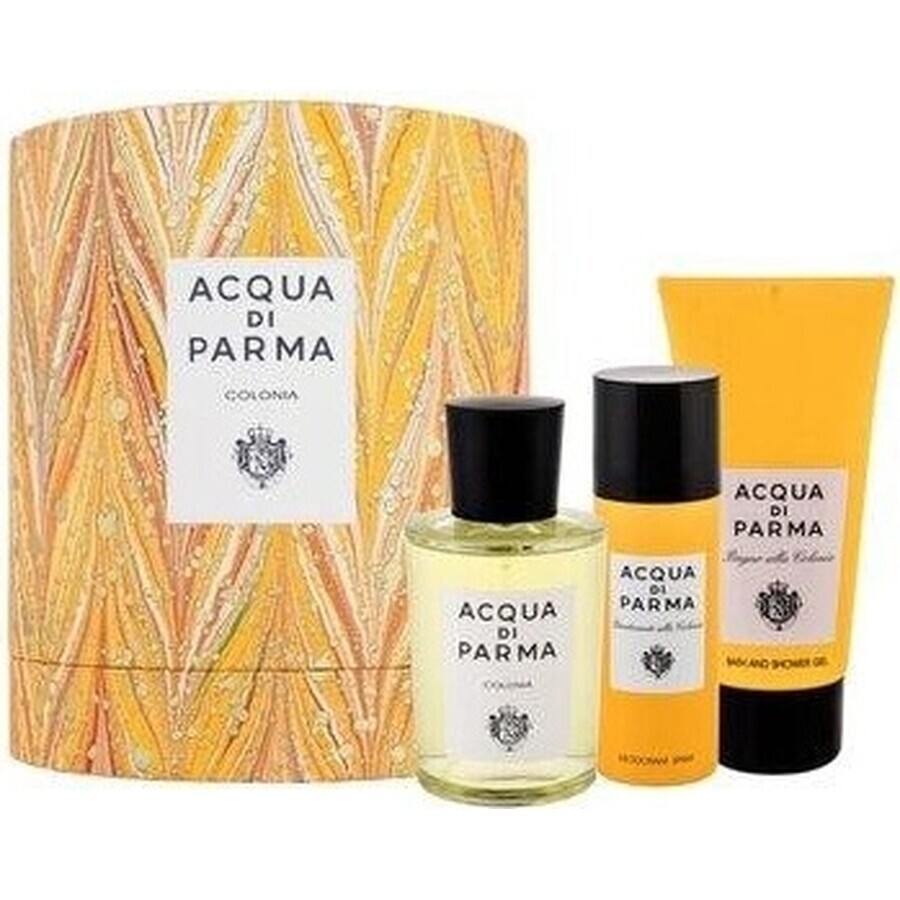 Acqua Di Parma Colonia Edc 100ml 1×100 ml 1×100 ml colonia