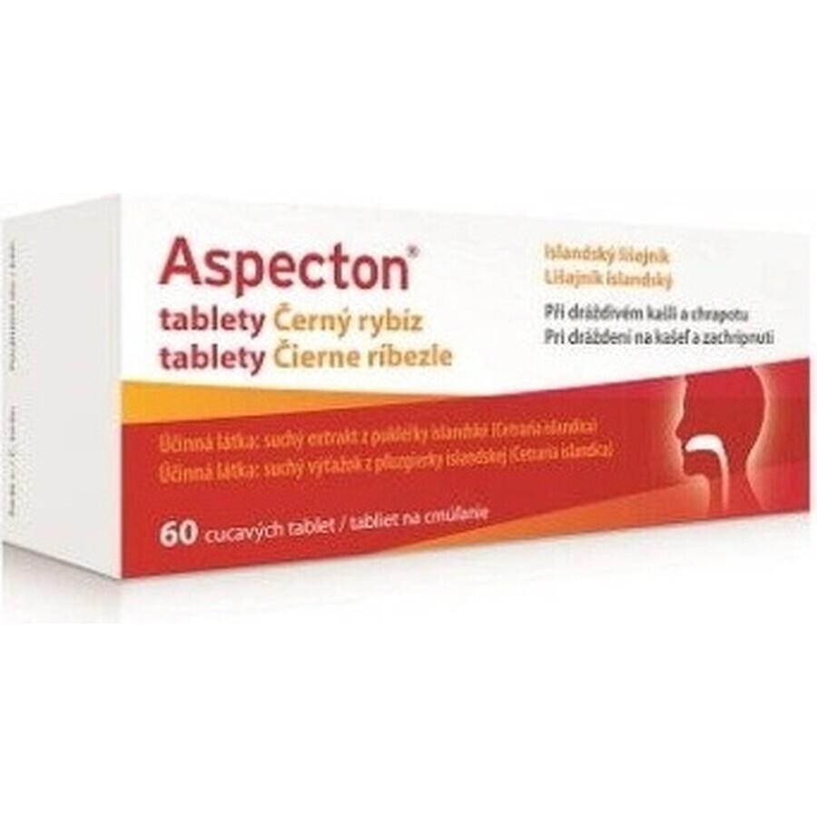 Aspecton Schwarze Johannisbeere Tabletten 1×60 tbl, Nahrungsergänzungsmittel