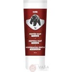 VIRDE MEDVEDIA Unguento 1×200 ml, unguento