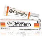 CIMMERIN 1×100 ml gel for lip corners and lip protection