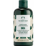 The Body Shop Conditioner for dry and brittle hair Shea Shea 1×250 ml, conditioner