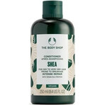 The Body Shop Conditioner for dry and brittle hair Shea Shea 1×250 ml, conditioner